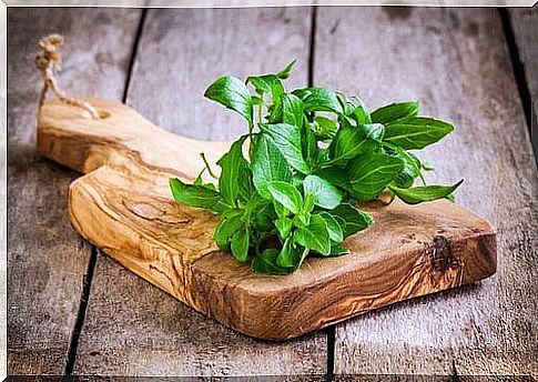 Basil helps keep mosquitoes at bay.