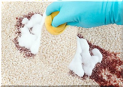 12 cleaning tips for demanding areas