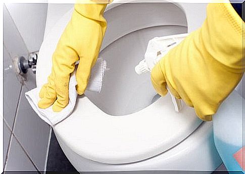 toilet cleaning tips