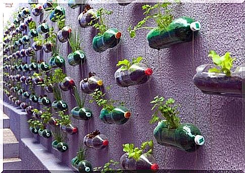 Vertical garden