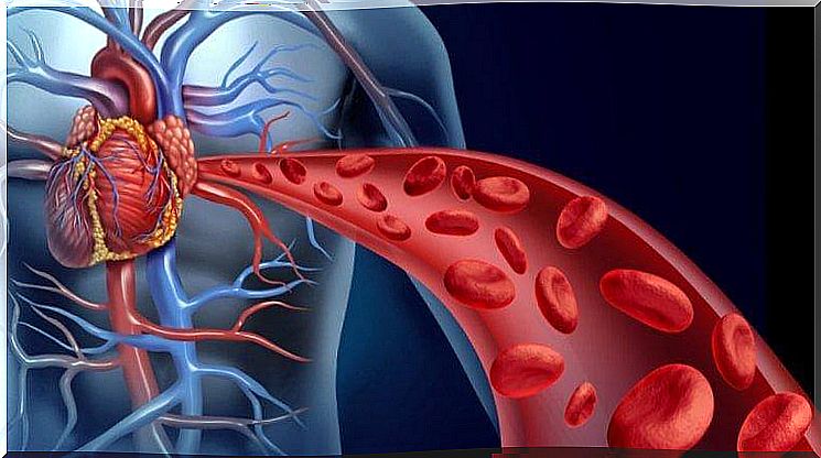 circulatory refreshing exercise