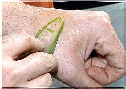 aloe vera on the skin