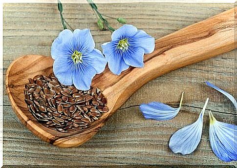 anti-inflammatory foods: flaxseed