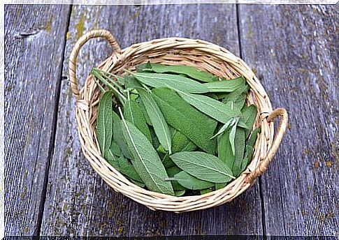 try natural treatment for sore throat from sage