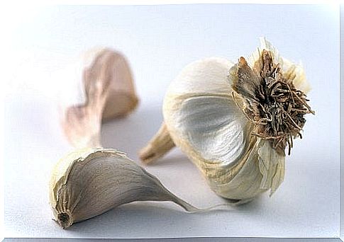 honey and garlic for the treatment of diseases