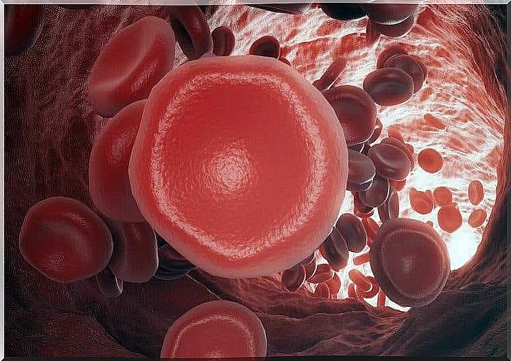 Blood clotting and its problems