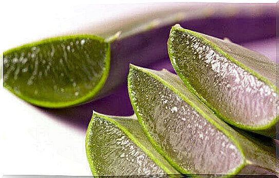 to Treat Bruises with Aloe Vera |