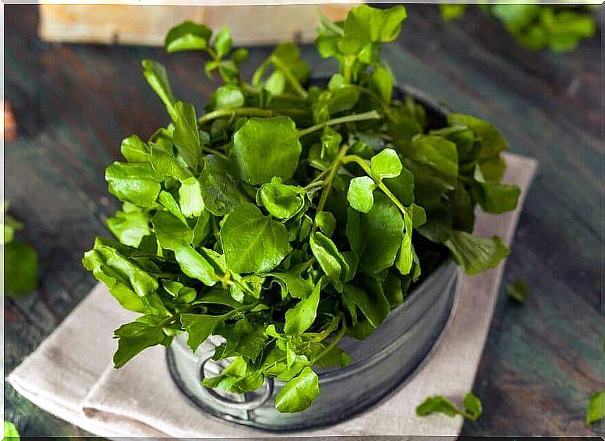 Calcium-rich vegetables: watercress.