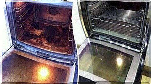 Clean the oven naturally