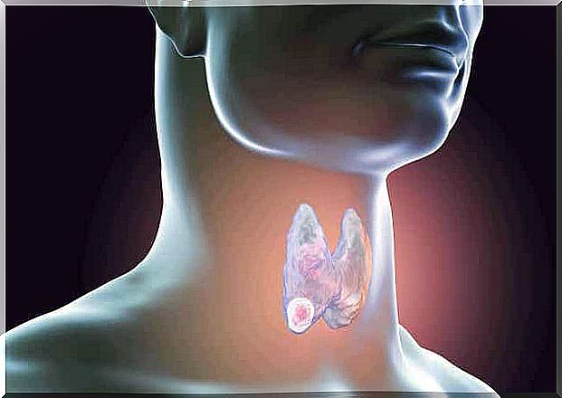 It is important to know about thyroid biopsy that it can be used to diagnose a variety of diseases.