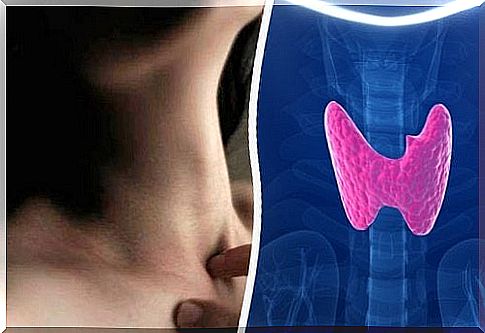 Foods help regulate the thyroid gland