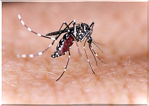 aspirin can also be used for mosquito bites