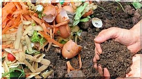 Making your own compost is a way to take care of the environment