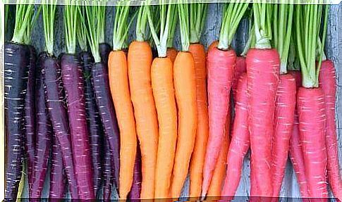 Carrot beta-carotene helps in organ regeneration.