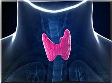 Thyrotropin is involved in thyroid disorders