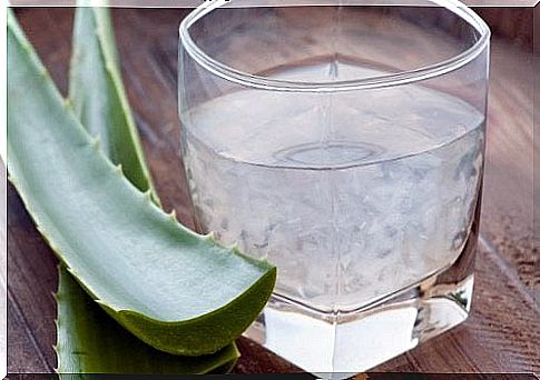 Medicinal aloe Vera helps with many ailments.