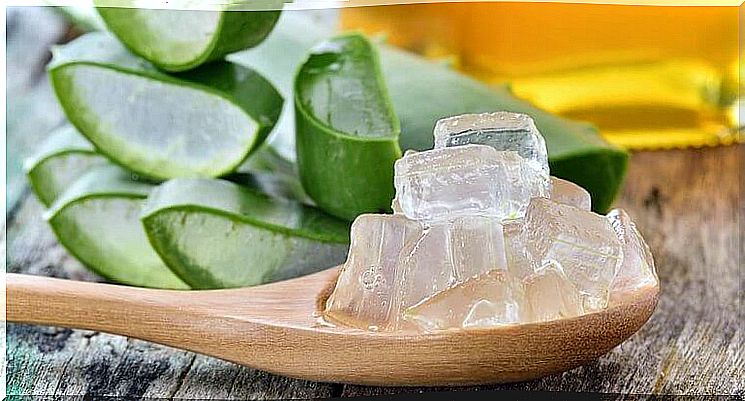 Aloe Vera moisturizes dry hair