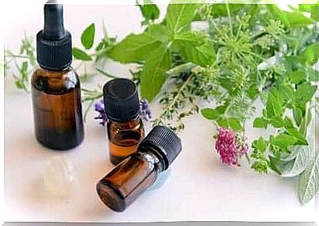 Natural treatments for oral yeast inflammation are made from oregano oil