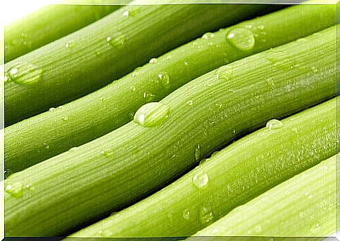 celery helps to remove uric acid crystals