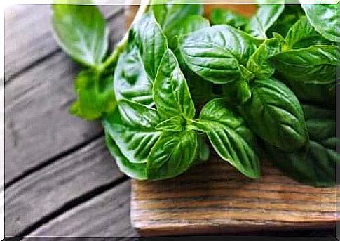 Basil has properties that benefit the kidneys