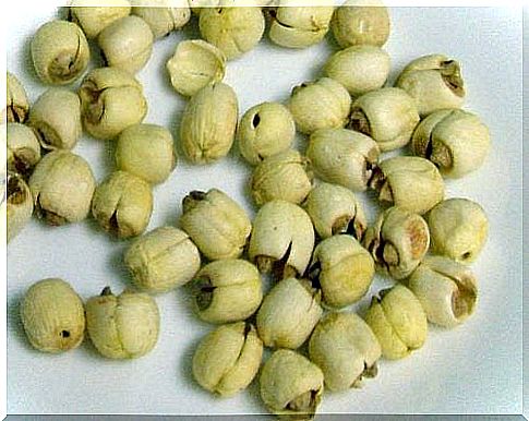 Lotus flower seeds as a source of calcium