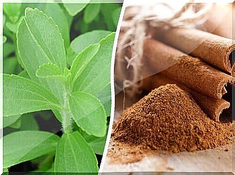 Stevia and cinnamon for the treatment of diabetes