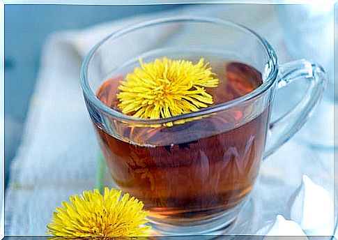 Uses and benefits of dandelion