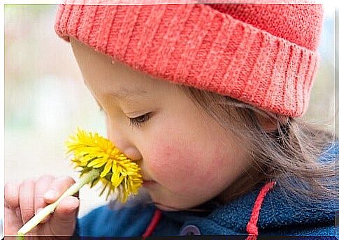 Fresh dandelion stems may be toxic to children.