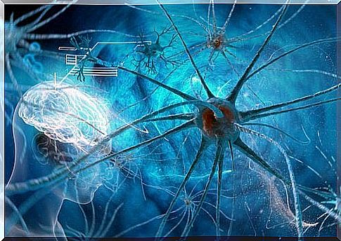 nerves and neurons